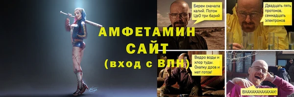 прущие грибы Баксан