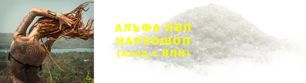 прущие грибы Баксан