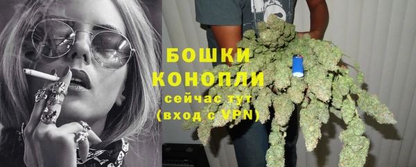 дурь Киреевск