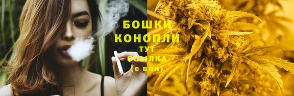 марки lsd Белокуриха