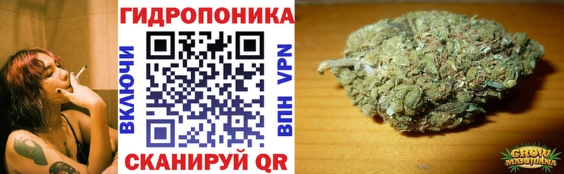 Бошки Шишки OG Kush  где найти наркотики  Нерюнгри 